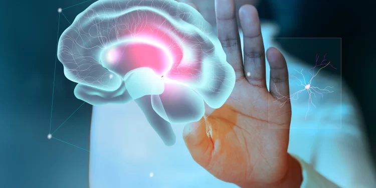 9 ماده غذایی که مخفیانه منجر به آسیب مغزی می شوند 1 آسیب مغزی