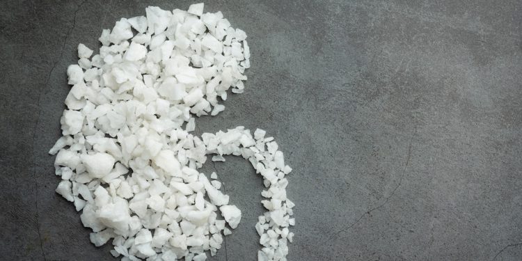 سنگ کلیه و دردسر های آن 1 سنگ کلیه