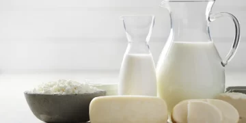 تب مالت یا بروسلوز چیست؟ از علائم تا درمان