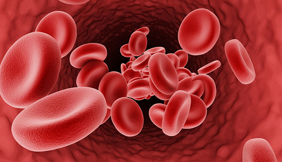 mcv در آمایش خون؛ اندازه گیری مقدار گلبول های قرمز در خون