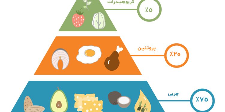 لاغری سریع با رژیم کتوژنیک مونوپی 1 هرم غذایی رژیم کتوژنیک