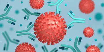 آنتی بادی چیست