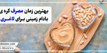 کره ی بادام زمینی برای لاغری