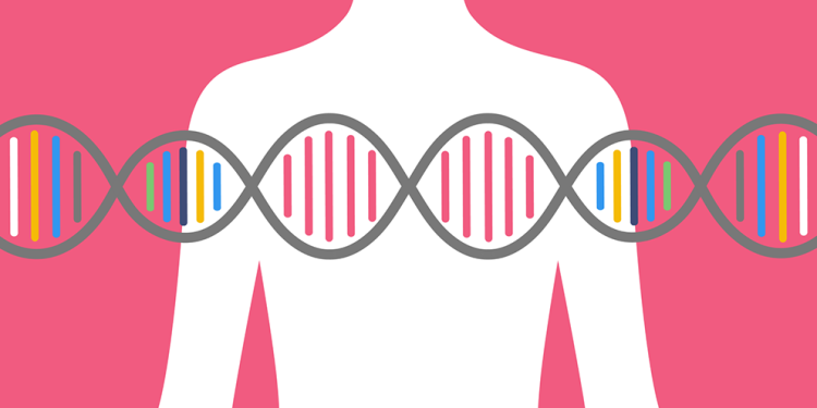 آزمایش ژنتیک سرطان سینه با بهترین قیمت و کمترین زمان آماده سازی 1 آزمایش ژنتیک سرطان سینه