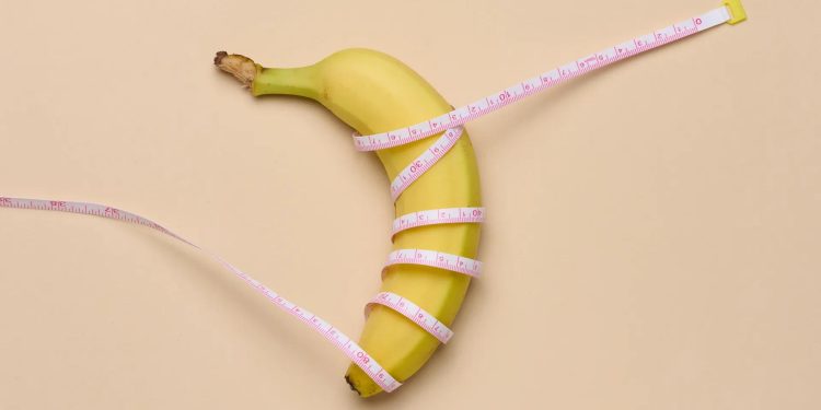 بزرگ کردن آلت با روش های غیرجراحی و جراحی 1 سایز نرمال آلت تناسلی و روش های بزرگ کردن آلت