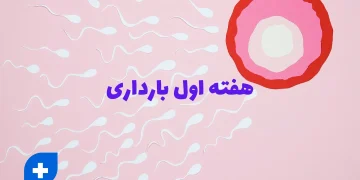 هفته اول بارداری