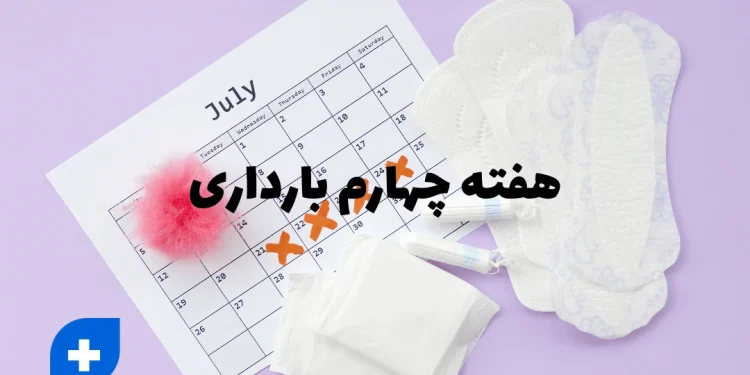 دانستنی ها و مراقبت های هفته چهارم بارداری (هفته 4 بارداری) 1 هفته چهارم بارداری