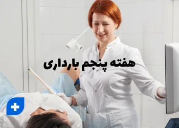 هفته پنجم بارداری