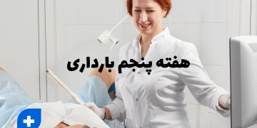 هفته پنجم بارداری