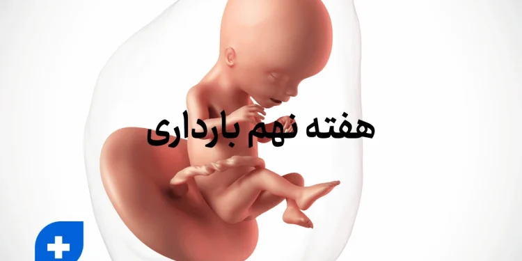 هفته نهم بارداری