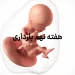 هفته نهم بارداری