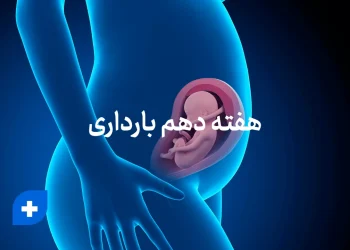 هفته دهم بارداری