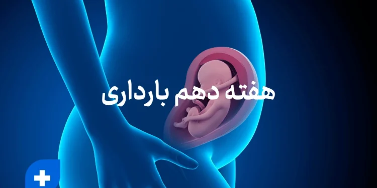 هفته دهم بارداری