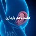 دانستنی ها و مراقبت های هفته دهم بارداری (هفته 10 بارداری) 10 هفته دهم بارداری