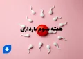 دانستنی ها و مراقبت های هفته سوم بارداری (هفته 3 بارداری) 9 دانستنی ها و مراقبت های هفته سوم بارداری (هفته 3 بارداری)