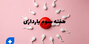 دانستنی ها و مراقبت های هفته سوم بارداری (هفته 3 بارداری)