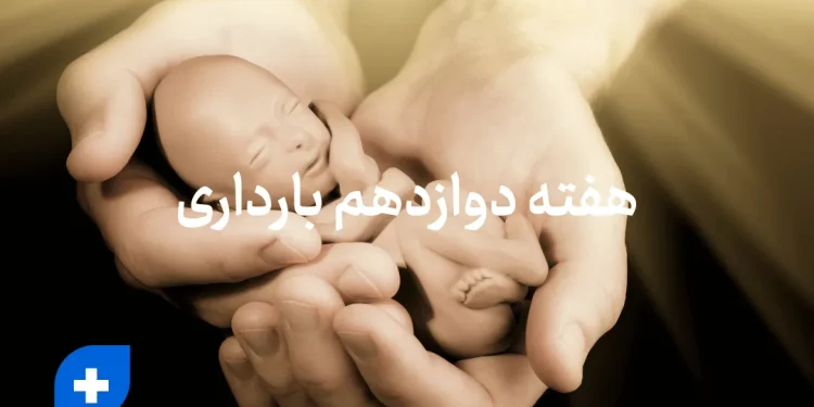 دانستنی ها و مراقبت های هفته دوازدهم بارداری (هفته 12 بارداری) 1 دانستنی ها و مراقبت های هفته دوازدهم بارداری (هفته 12 بارداری)