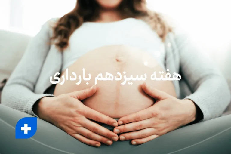هفته سیزدهم بارداری