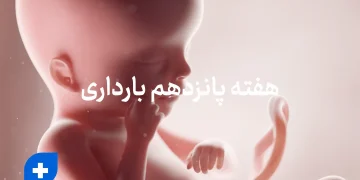 هفته پانزدهم بارداری