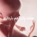 دانستنی ها و مراقبت های هفته پانزدهم بارداری(هفته 15 بارداری) 11 هفته پانزدهم بارداری