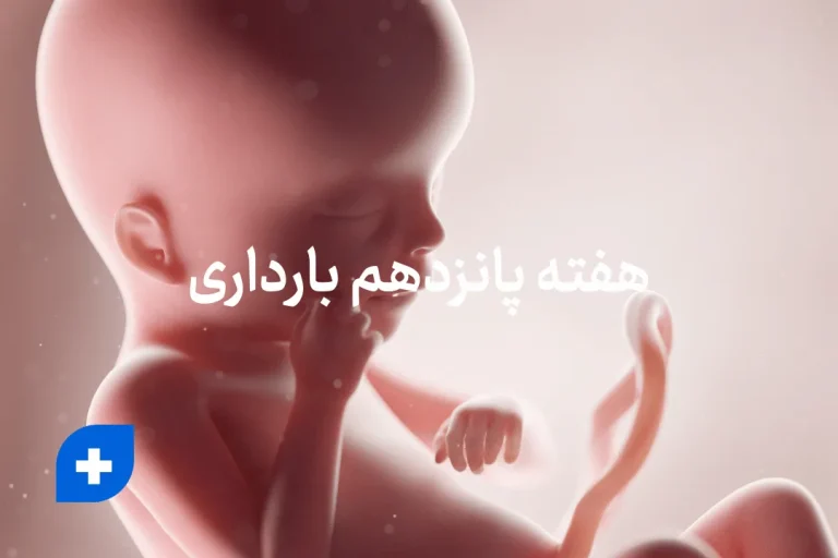 هفته پانزدهم بارداری