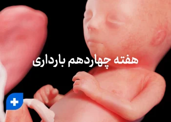 هفته چهاردهم بارداری