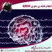 نقشه مغزی، نوروفیدبک و درمان اختلال شخصیت؛ گامی نوین در بهبود سلامت روان 5 نقشه مغزی، نوروفیدبک و درمان اختلال شخصیت