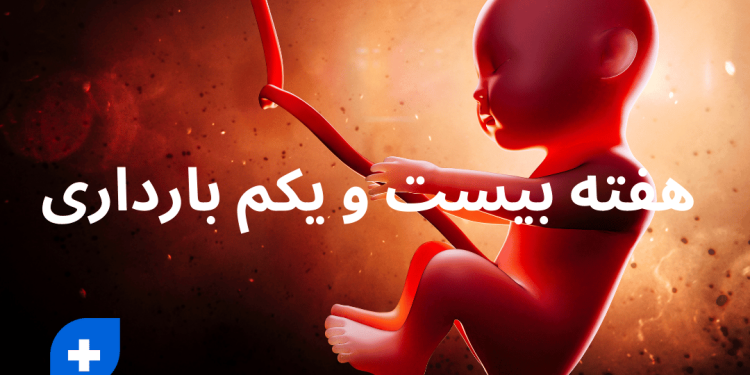 دانستنی ها و مراقبت های هفته بیست و یکم بارداری (هفته 21 بارداری) 1 هفته بیست و یکم بارداری