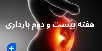 هفته بیست و دوم بارداری