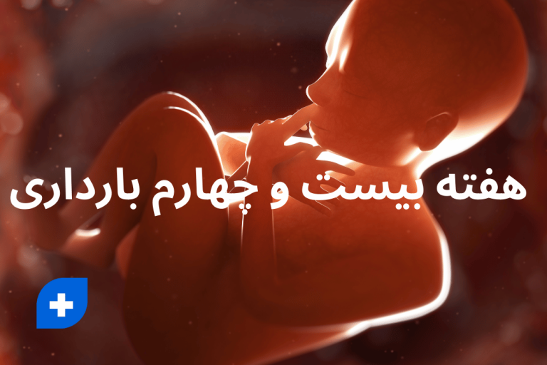 دانستنی ها و مراقبت های هفته بیست و چهارم بارداری (هفته 24 بارداری) 8 هفته بیست و چهارم بارداری