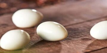 مواد غذایی پروتئین دار